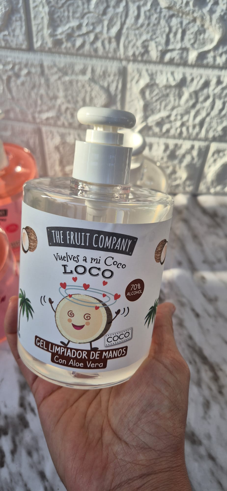 Gel Limpiador de Manos The Fruit Company