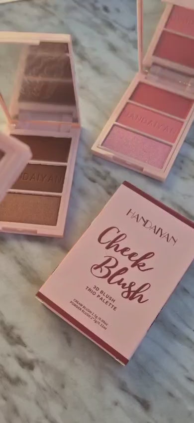 Paleta de Rubror 3 en 1 HANDAIYAN